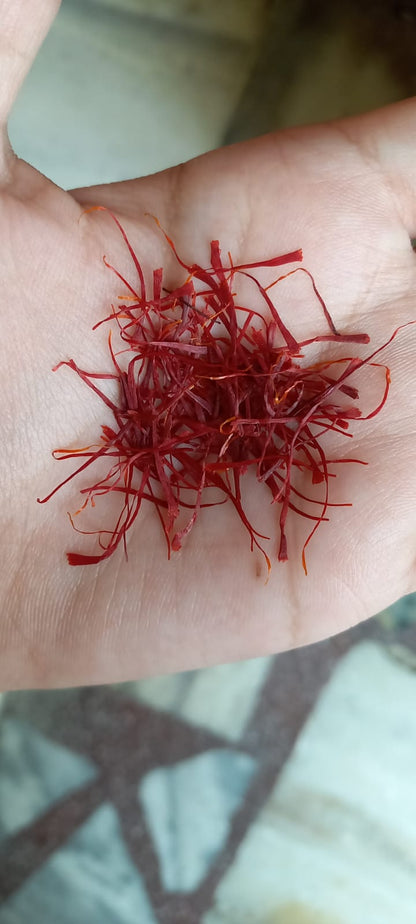 Kashmiri Mogra Saffron threads premium fresh crop close-up